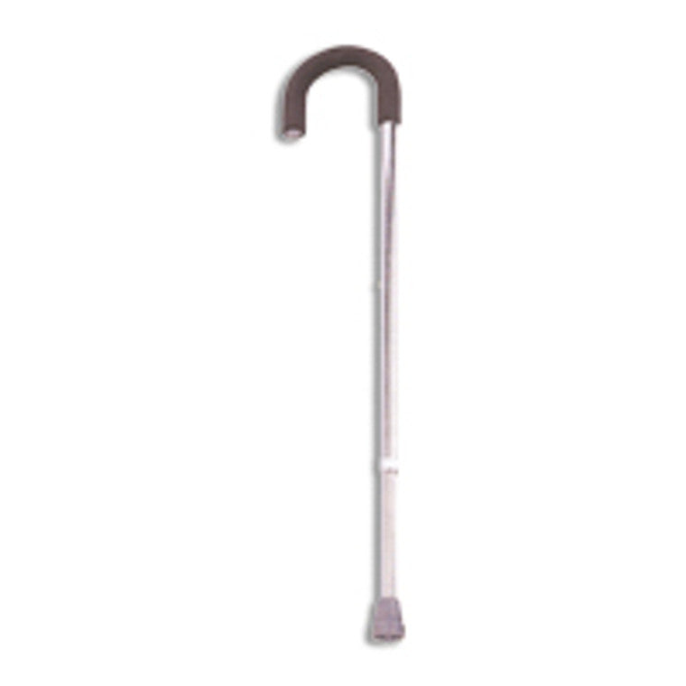 Adjustable cane with rounded grip handle and silver shaft