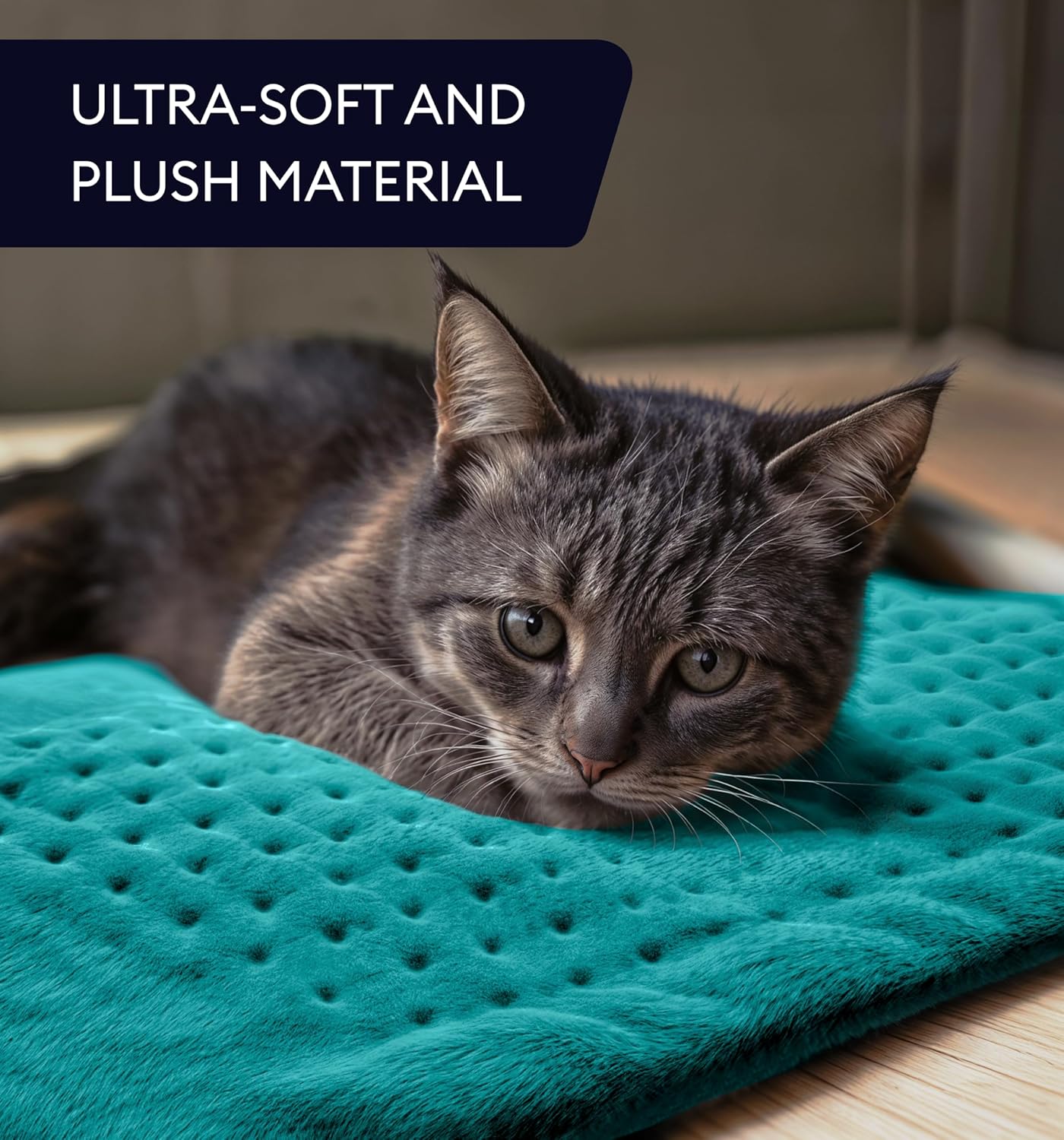 Teal plush heating pad with dotted surface beside a resting gray cat