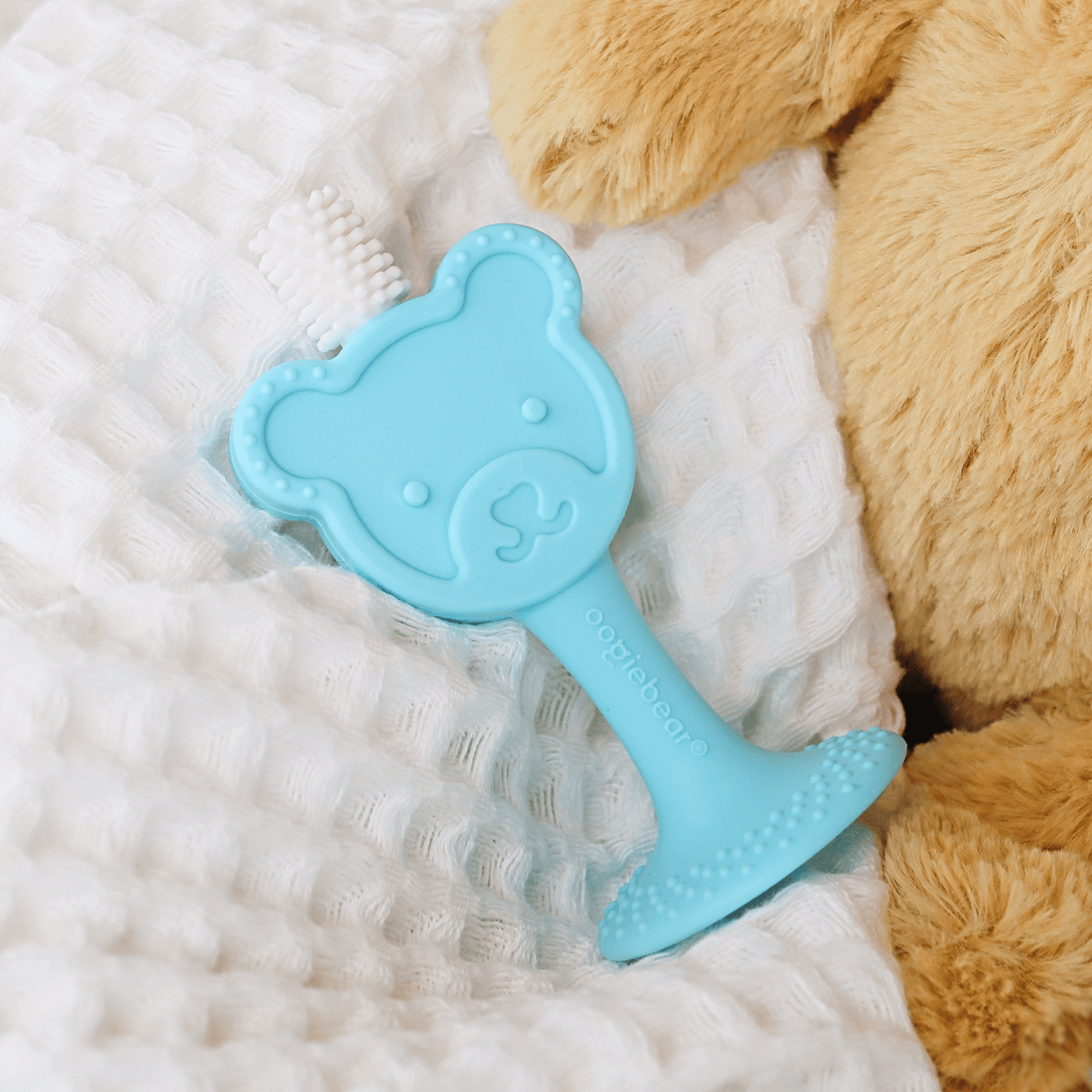 baby training toothbrush & teether oogiebear