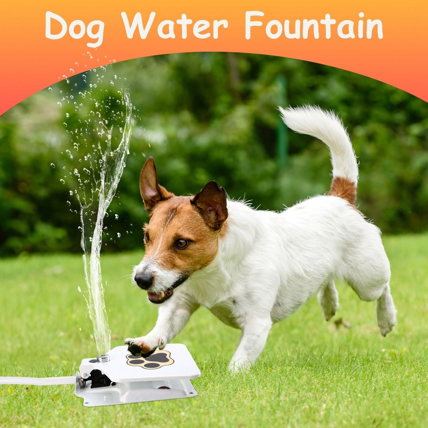 White step-on pet water fountain with paw logo, water spraying from nozzle