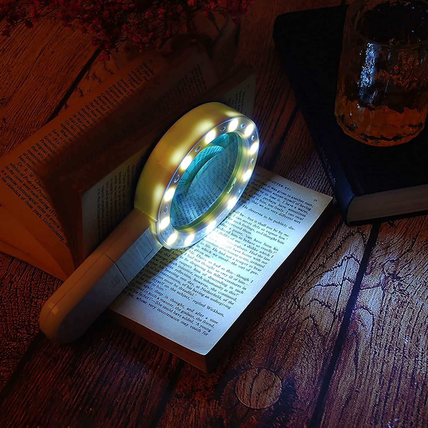 Handheld magnifying glass with 12 LEDs, glowing lens over open book page