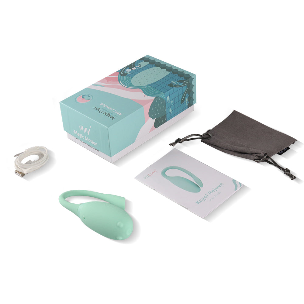 Accessory set for a silicone massager: box, cable, pouch, and instruction card.