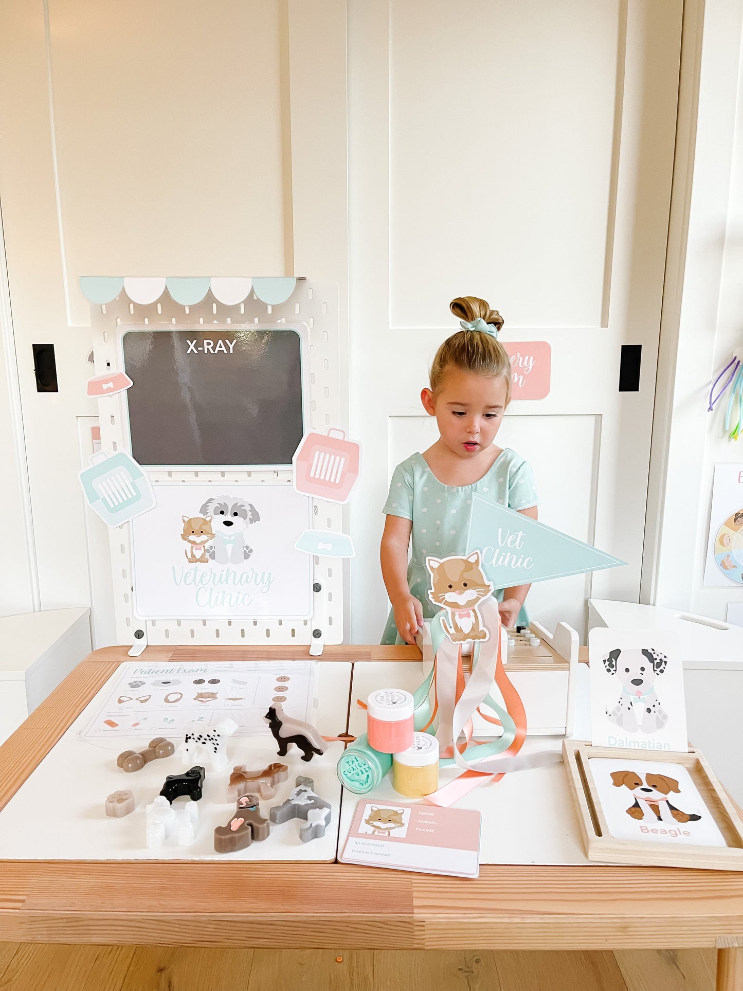 Vet Clinic Dramatic Play