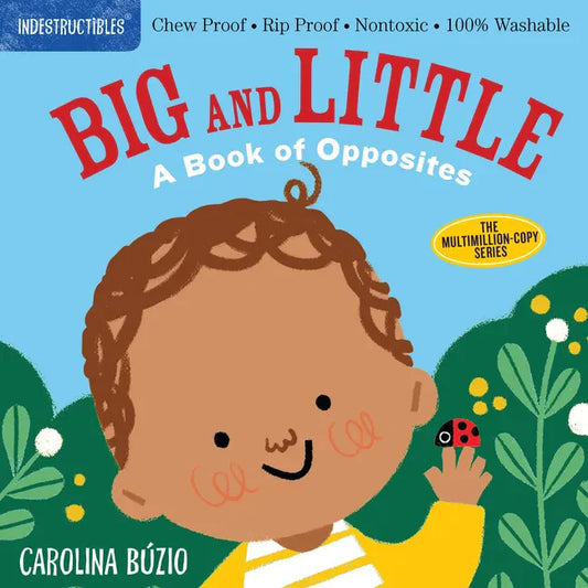 Children's book cover 'Big and Little: A Book of Opposites' with illustrated faces