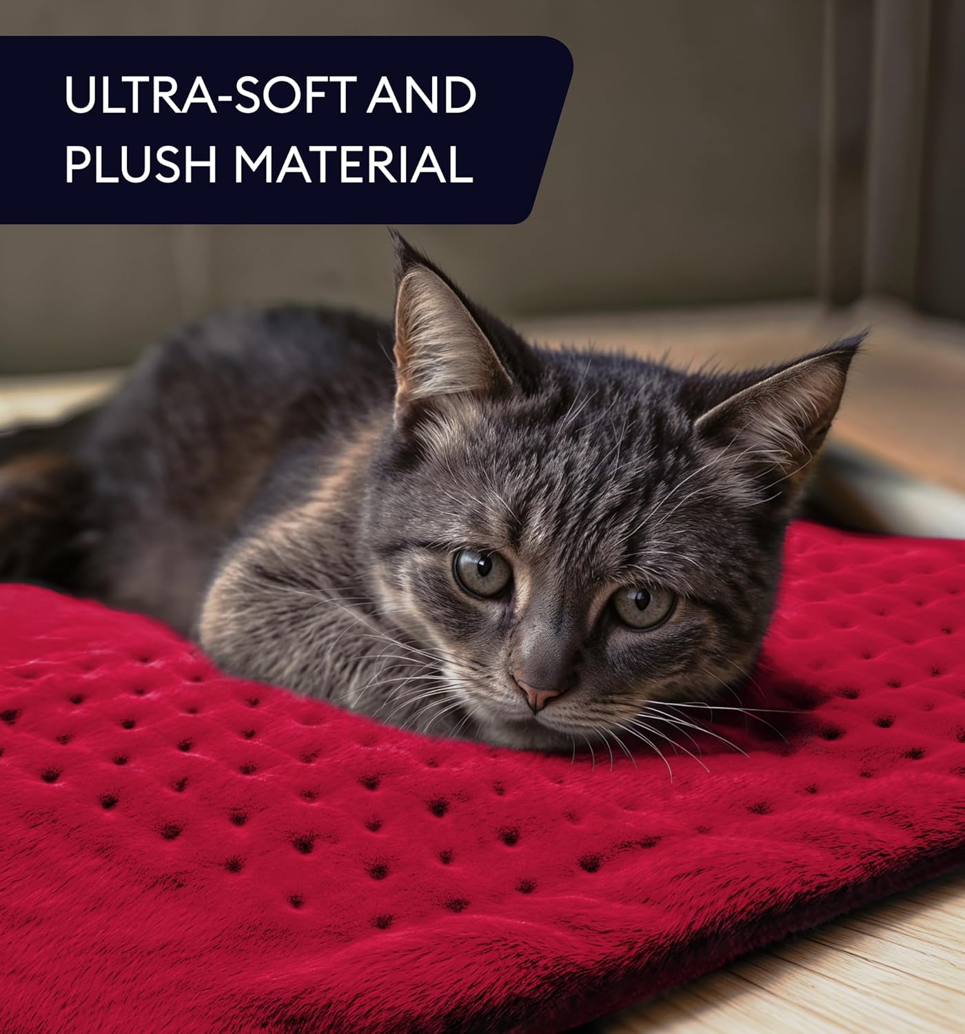 Viva magenta ultra-soft heating pad with dotted texture, close-up with cat resting