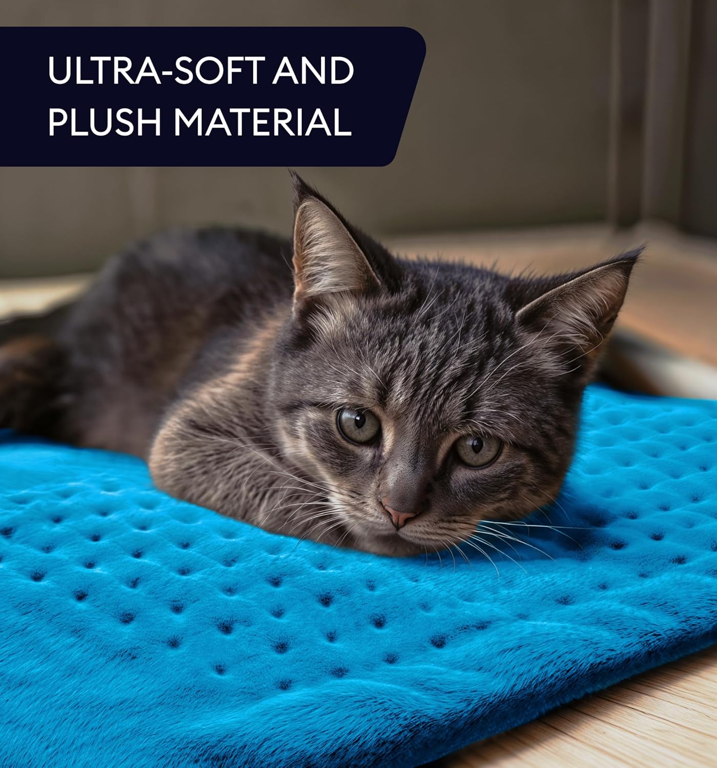 Aqua blue plush heating pad with dotted surface while a cat lies on it