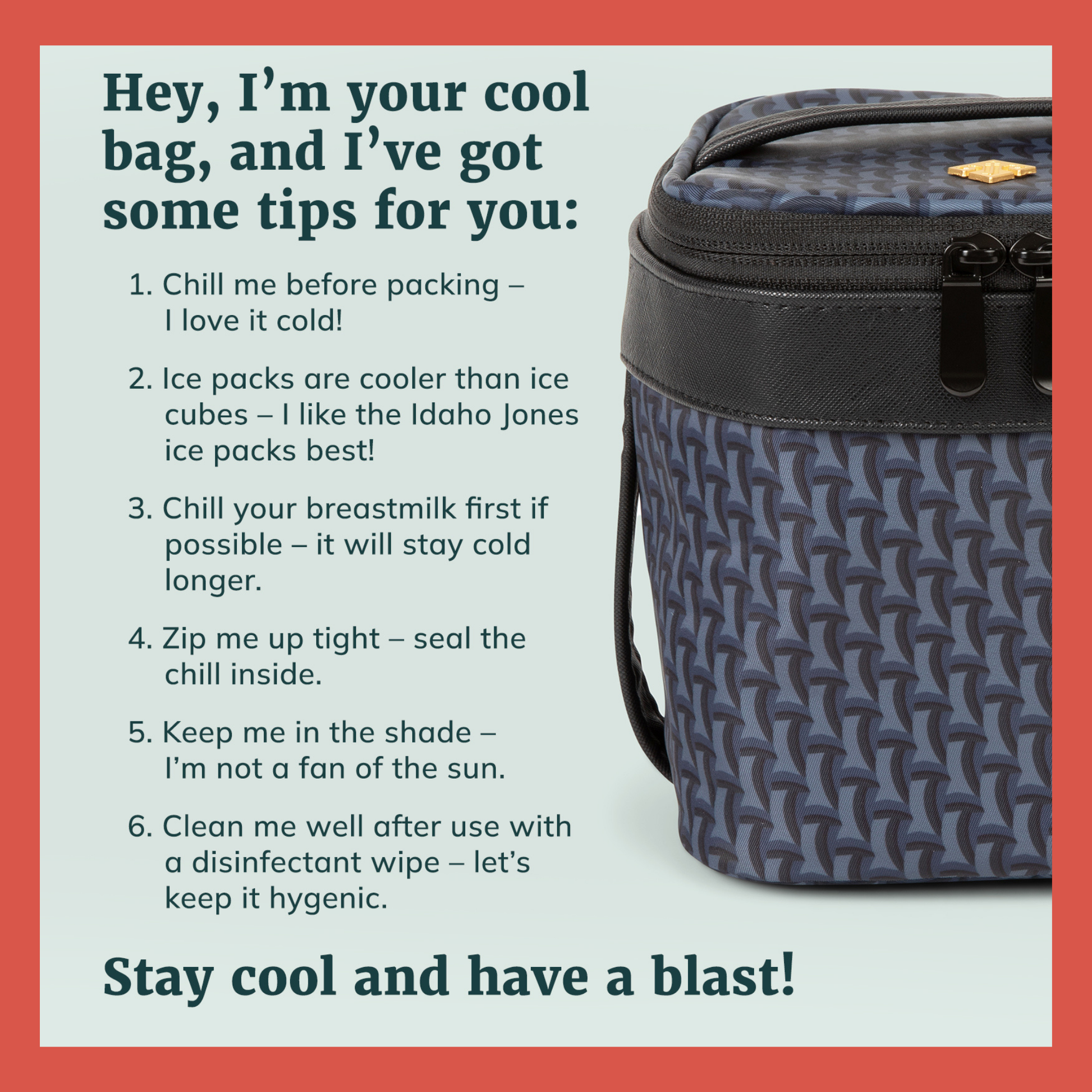 Roxwell breastmilk cooler bag close-up with zip pull and patterned front panel