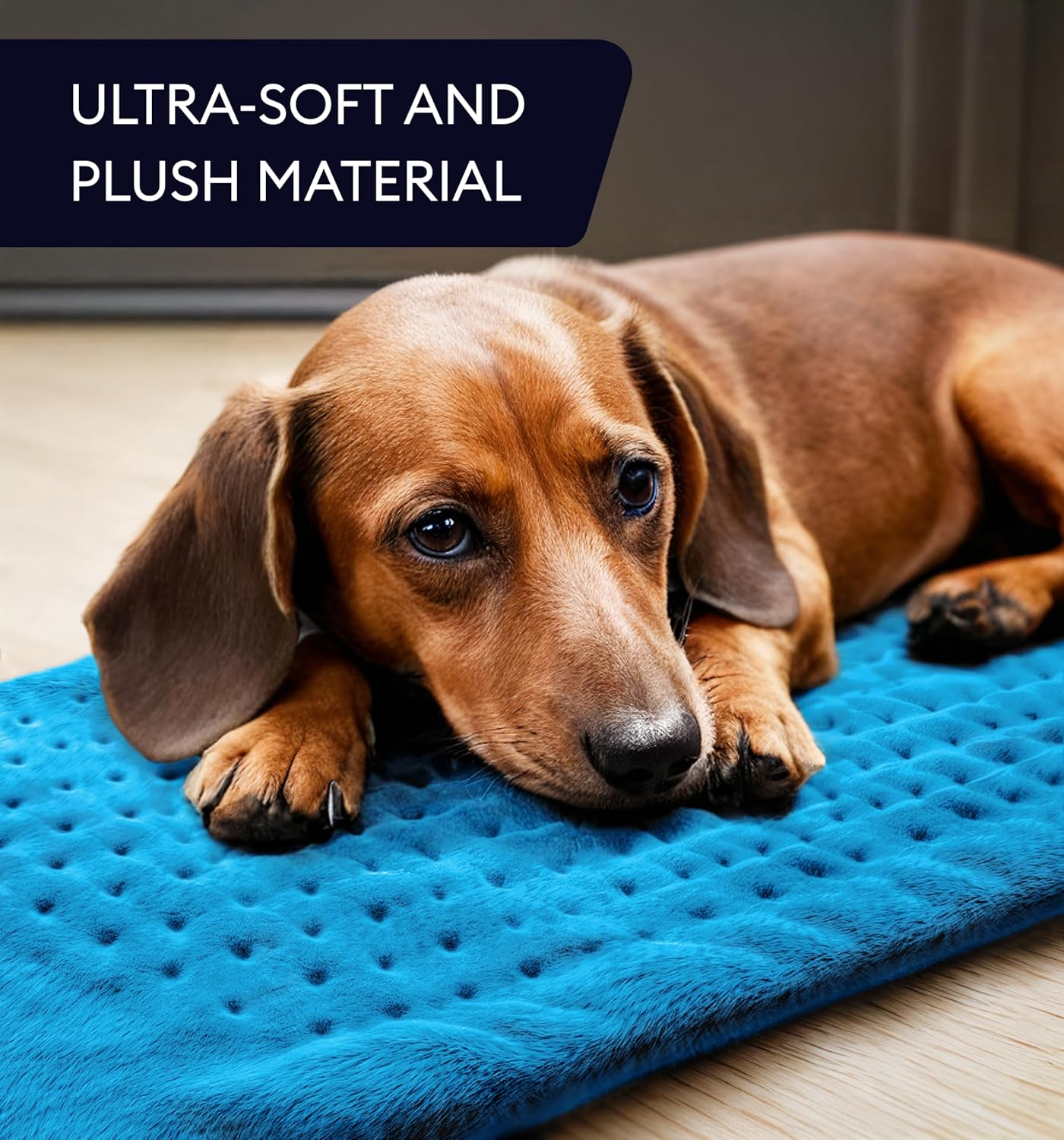Aqua blue plush heating pad with dotted bumps under a resting dog