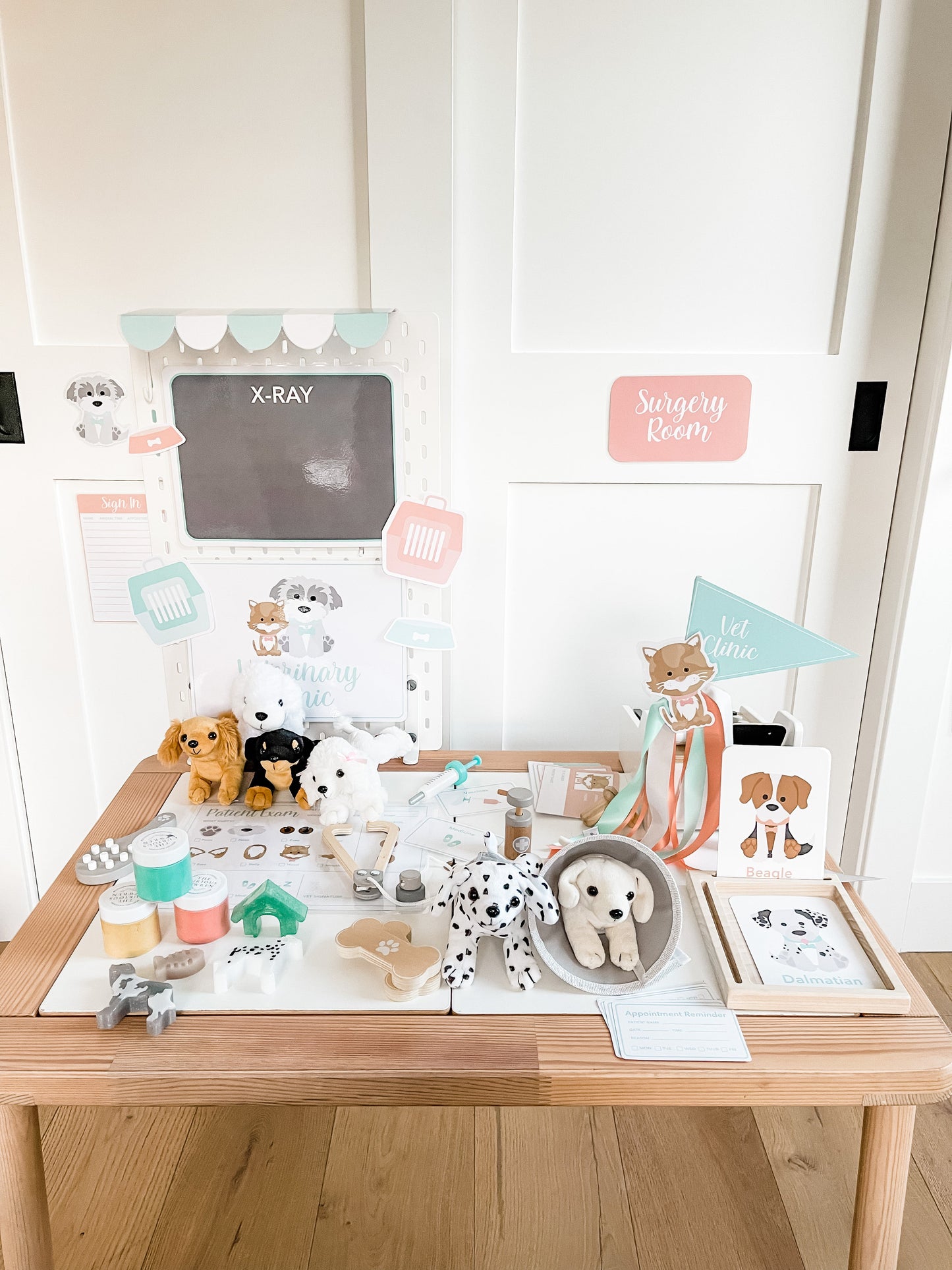 Vet Clinic Dramatic Play