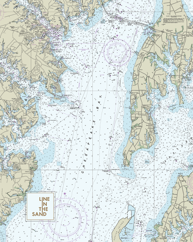 Nautical chart print fabric with white seas, purple circles and routes, and “LINE IN THE SAND” logo