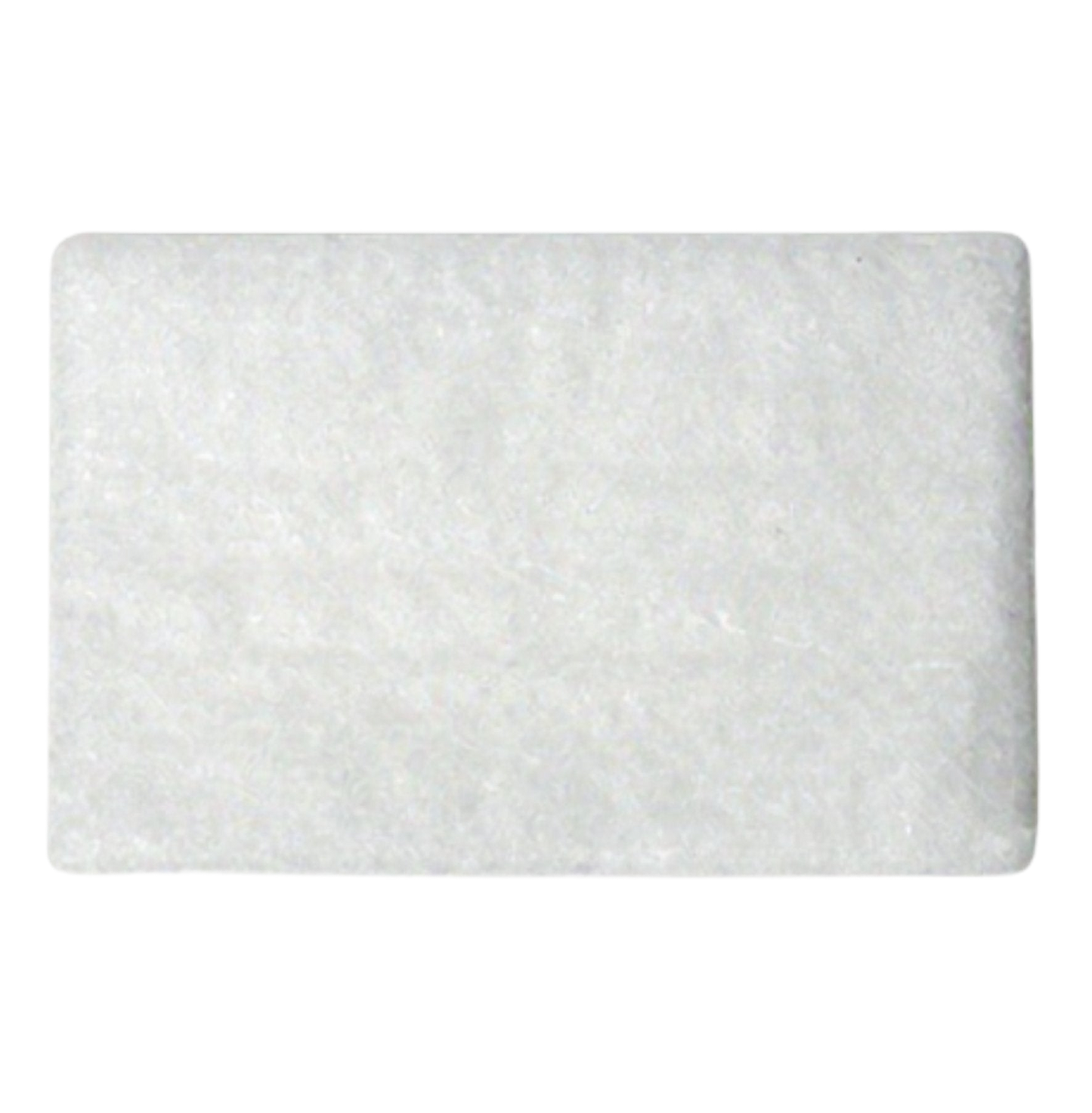 AirSense 10 Filter Pack cpap.com