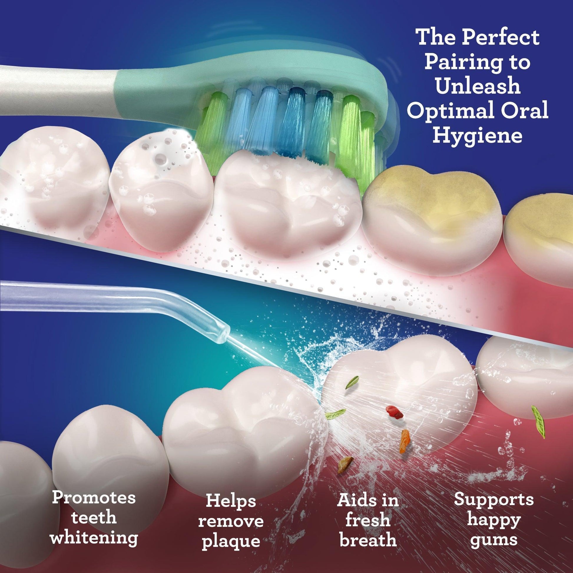 White and light bristle toothbrush heads with colored water flosser spray
