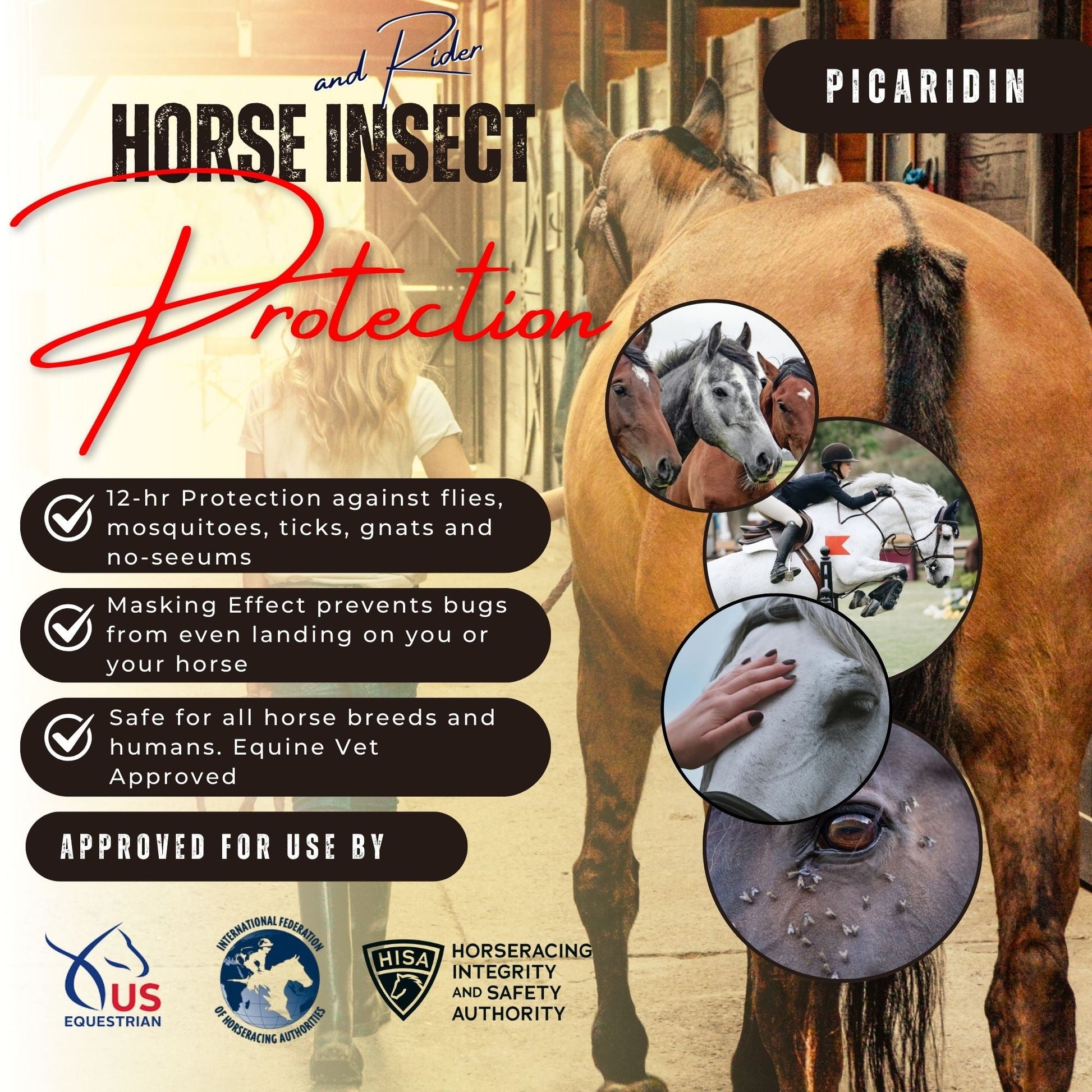 Horse insect protection information graphic with Picardin and repellent highlights