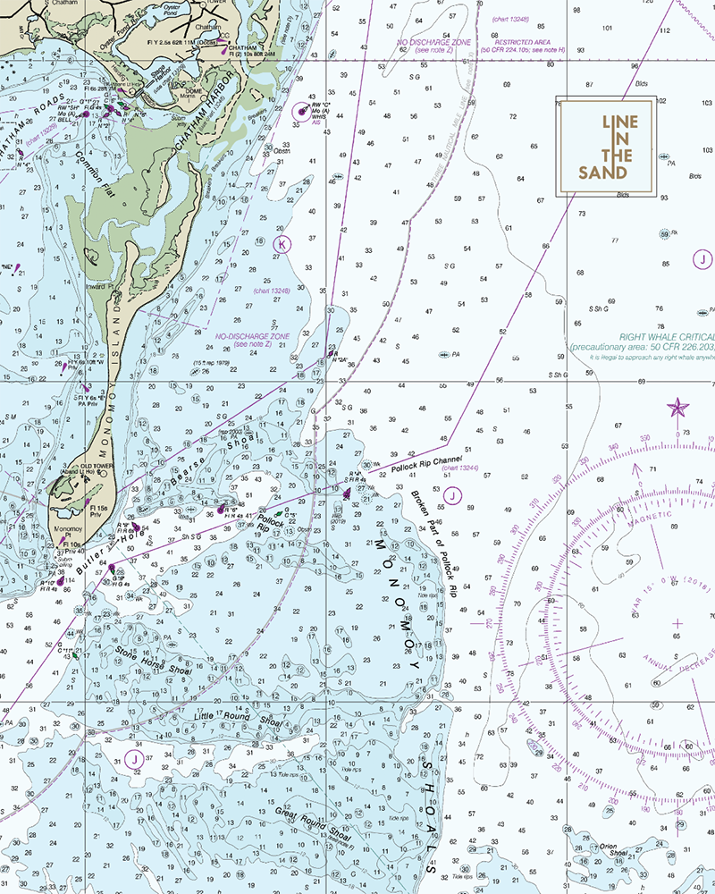 Nautical chart print fabric with pale green and blue areas, dotted coordinates, and “LINE IN THE SAND” logo
