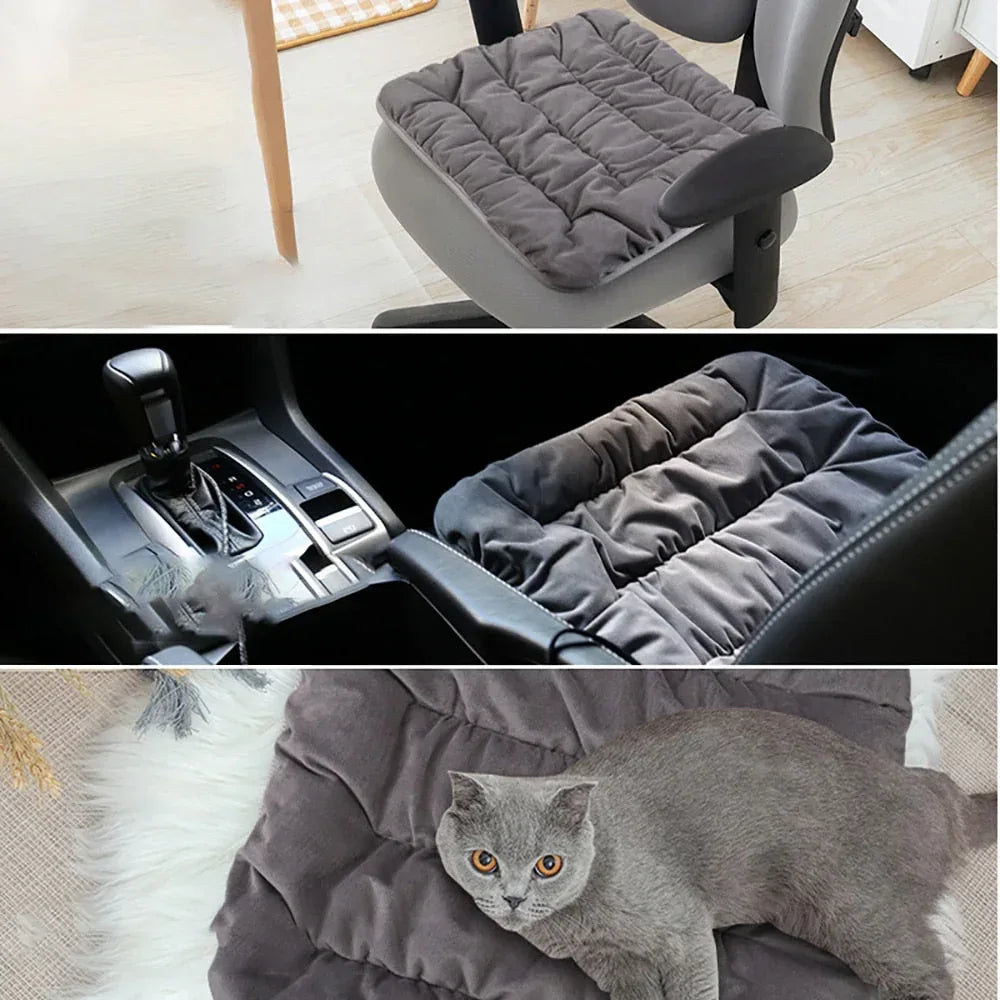 Gray heating pad cushion on a chair, with a gray cat resting on top.