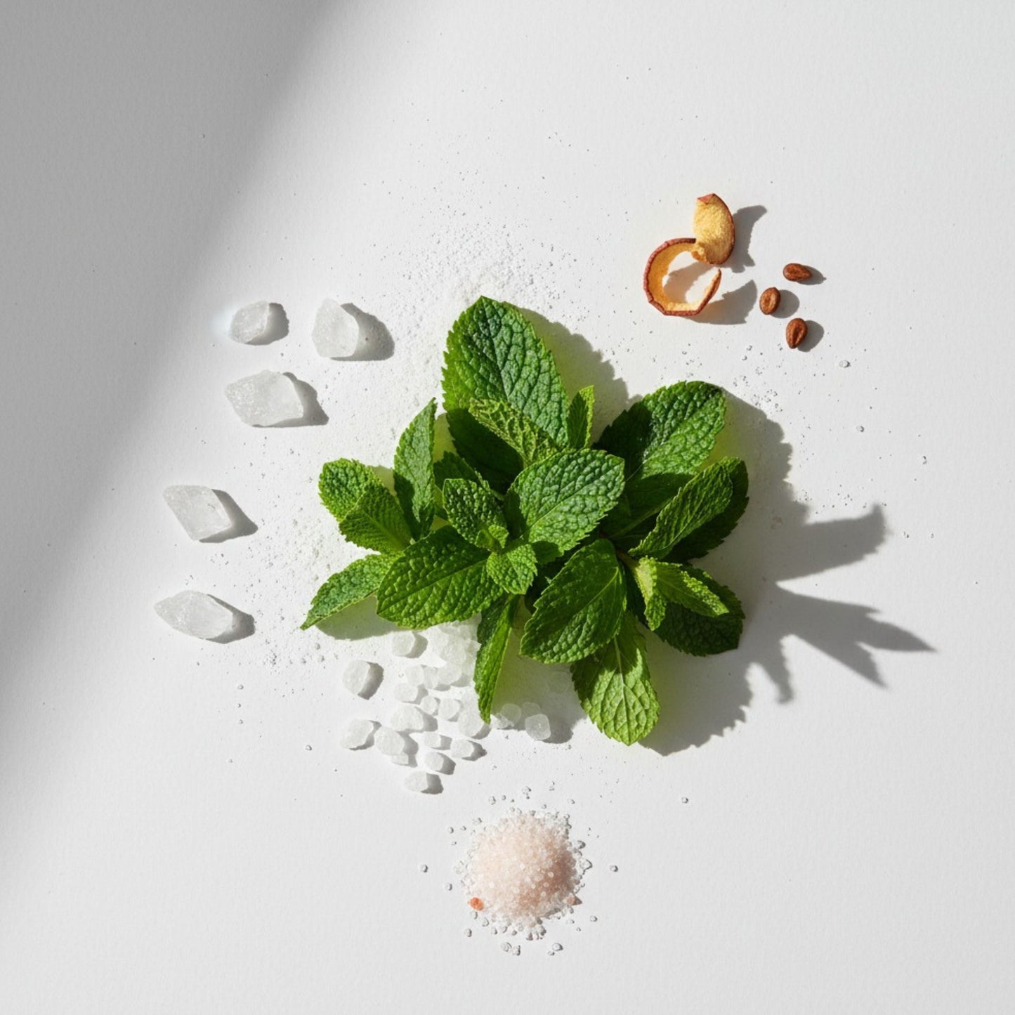 Fluoride toothpaste tablets with cool mint leaves and crushed tablet pieces