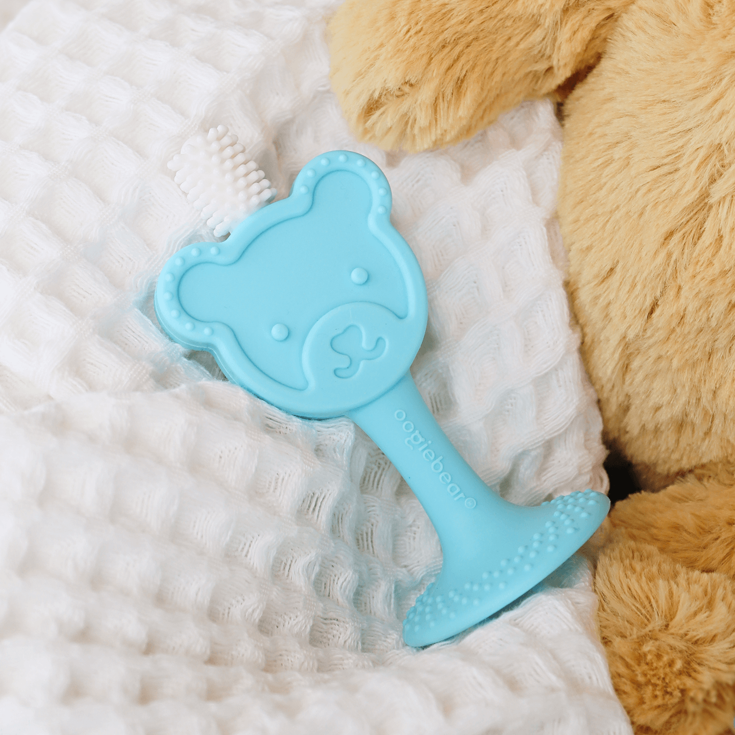 baby training toothbrush & teether oogiebear