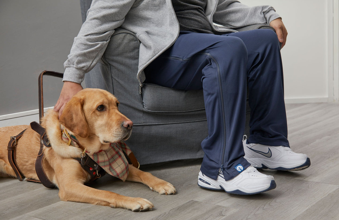 Person sitting on a couch with a dog wearing a harness on a wooden floor.