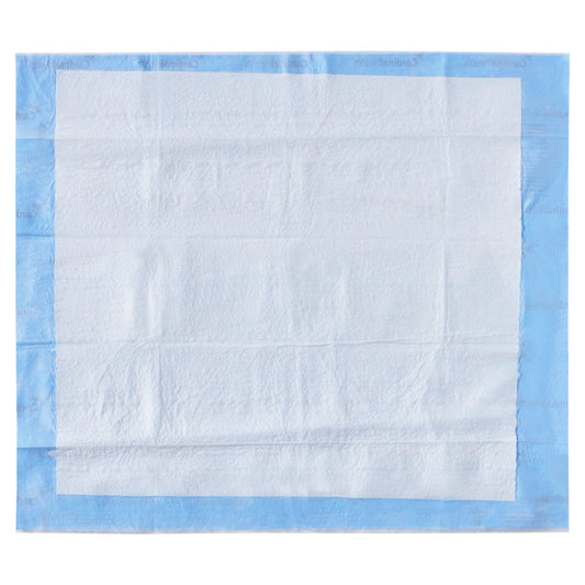 Quilted underpad, white absorbent sheet with light blue edges