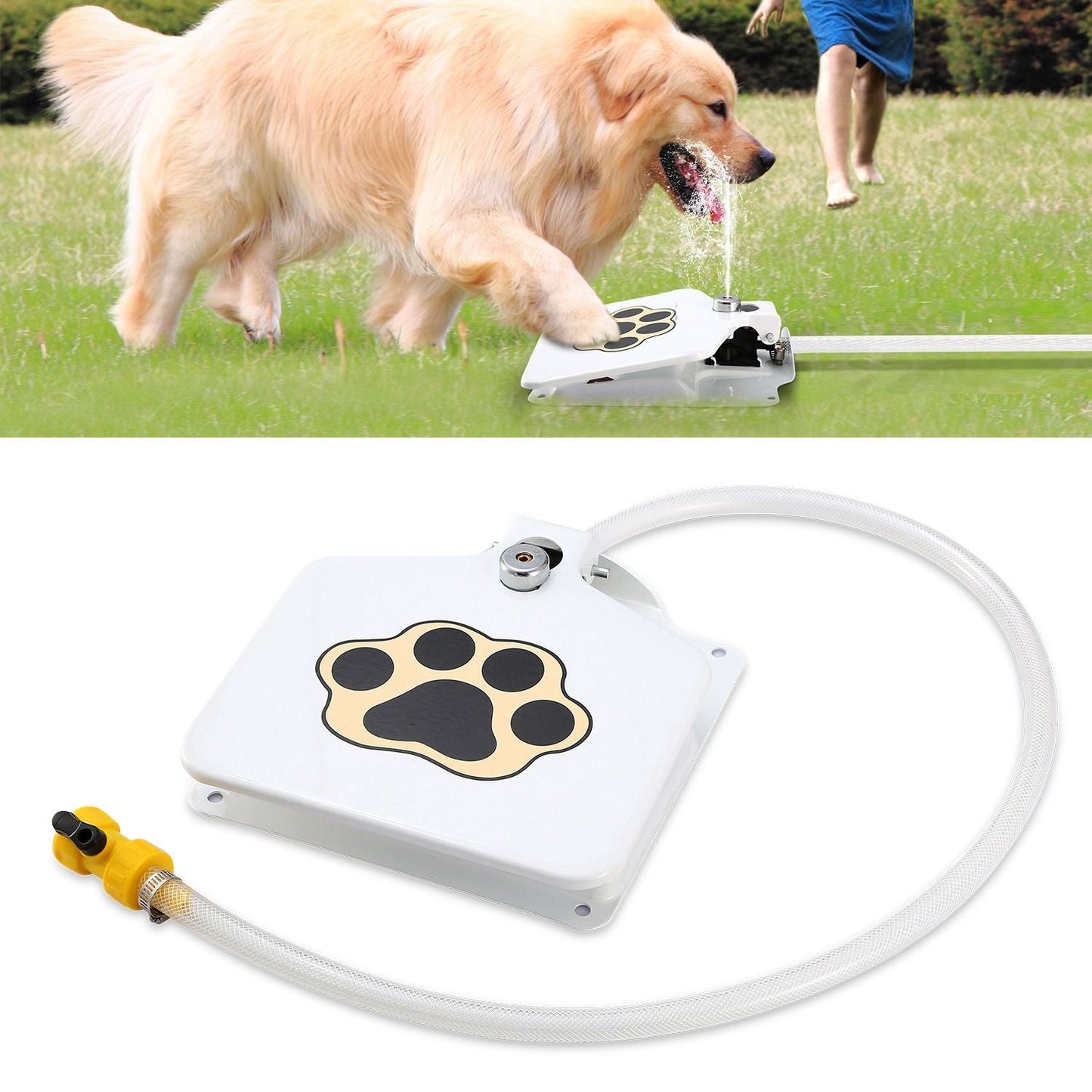 White step-on pet water fountain with paw icon, with a dog drinking