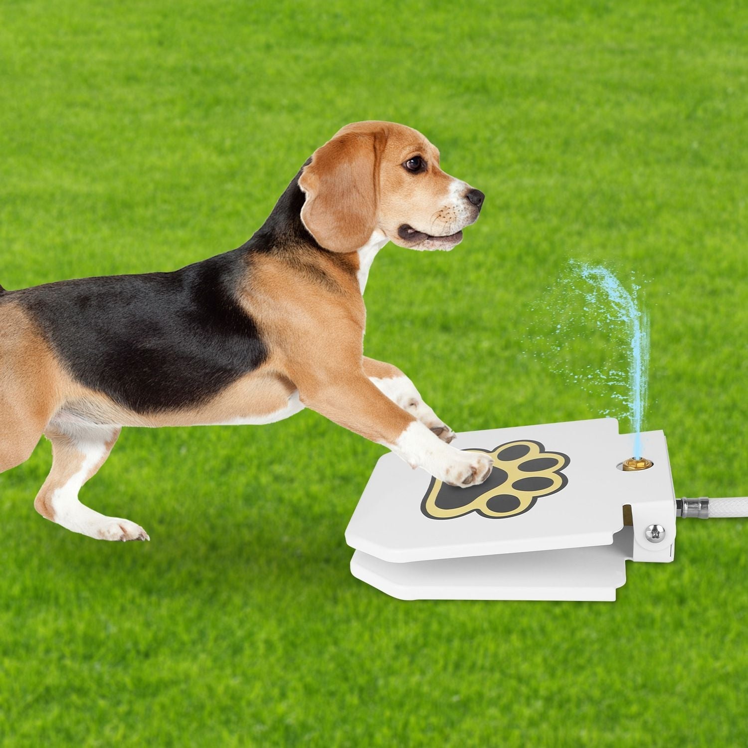 Tan and black dog drinking from white step-on pet water fountain with paw icon