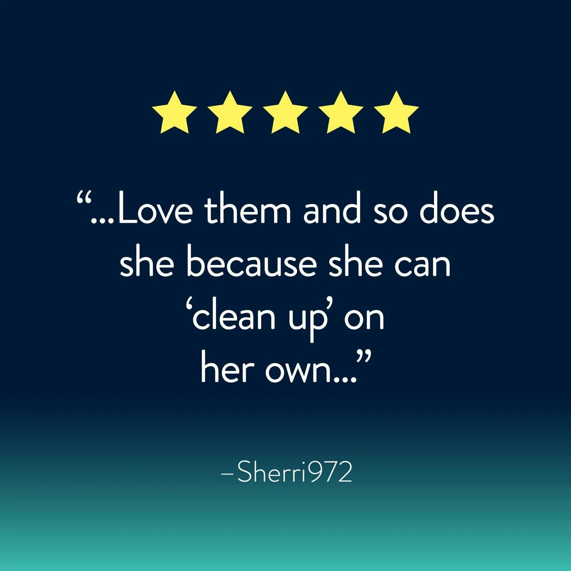 GoodNites disposable bed mats customer review quote with five star rating