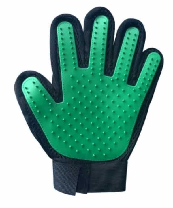 pet grooming glove green