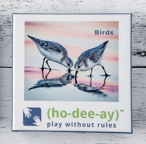 Birds themed dementia activity card featuring two shorebirds, titled “Birds”