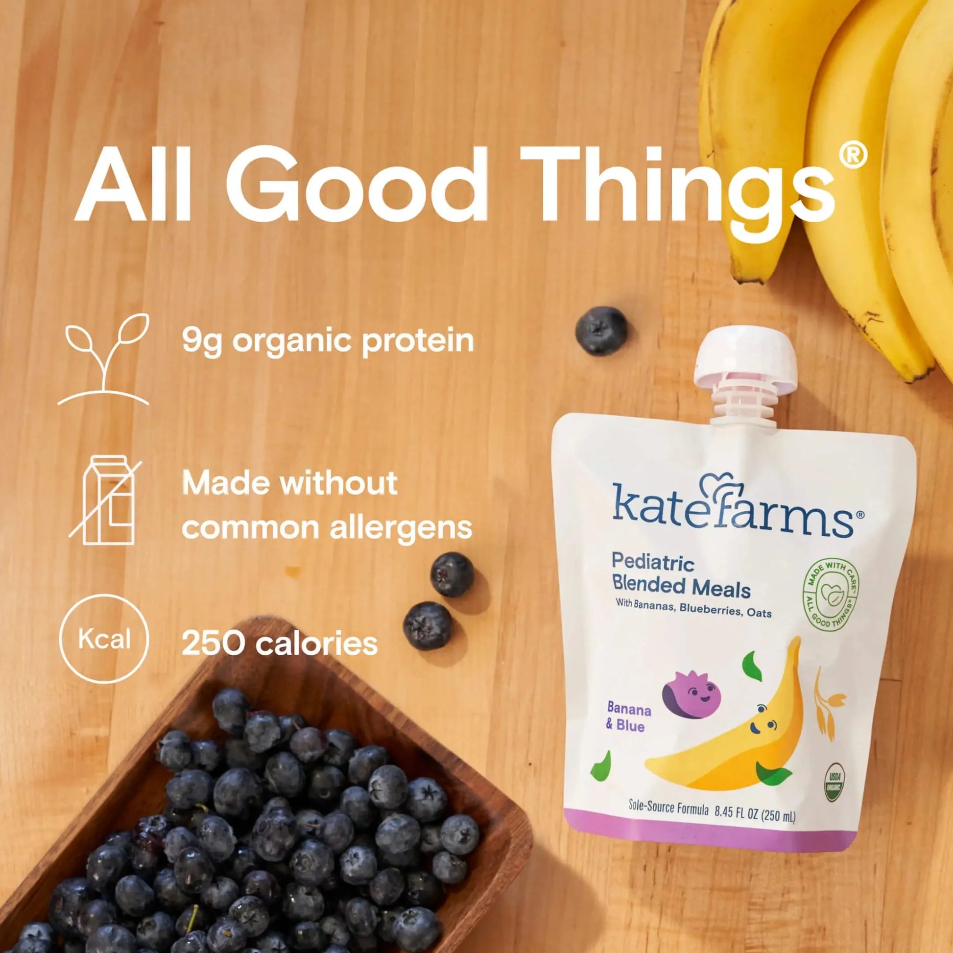 Banana & Blueberry pediatric blended meals pouch next to blueberries and bananas