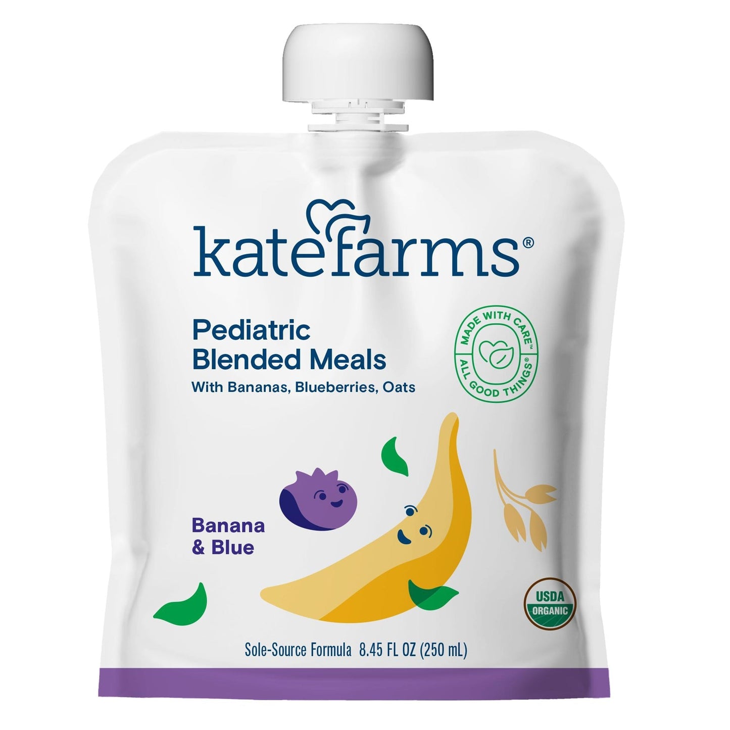 Kate Farms Banana & Blueberry pediatric blended meals pouch front view with cap