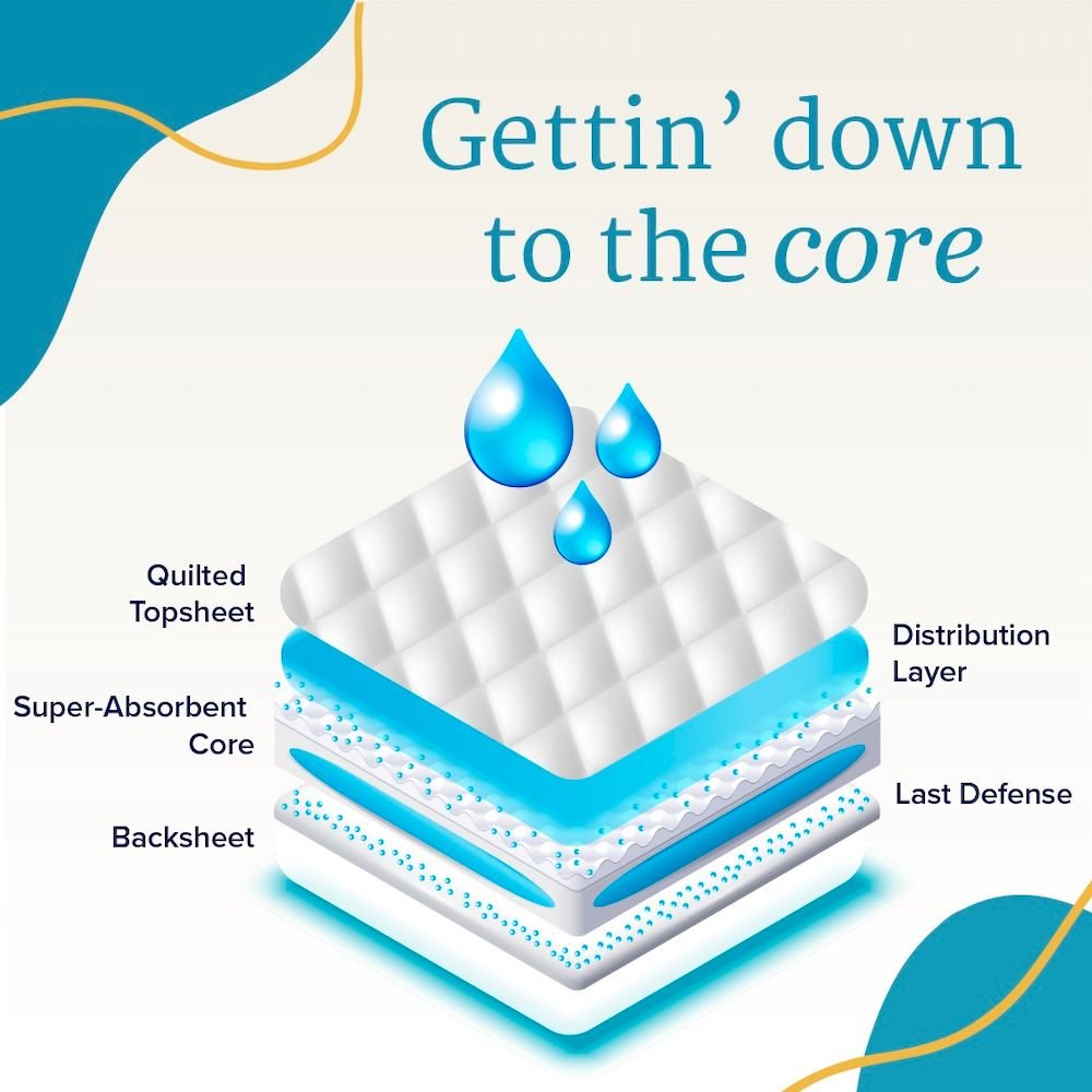 Cross-section of absorbent adult brief layers with gel and top sheet