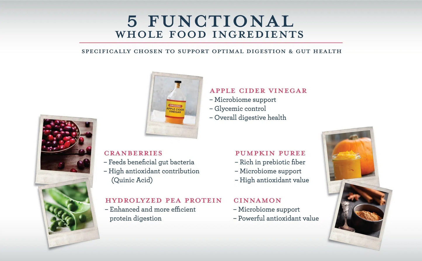 Berry Medley functional ingredients overview: cranberries, pumpkin, hydrolized pea