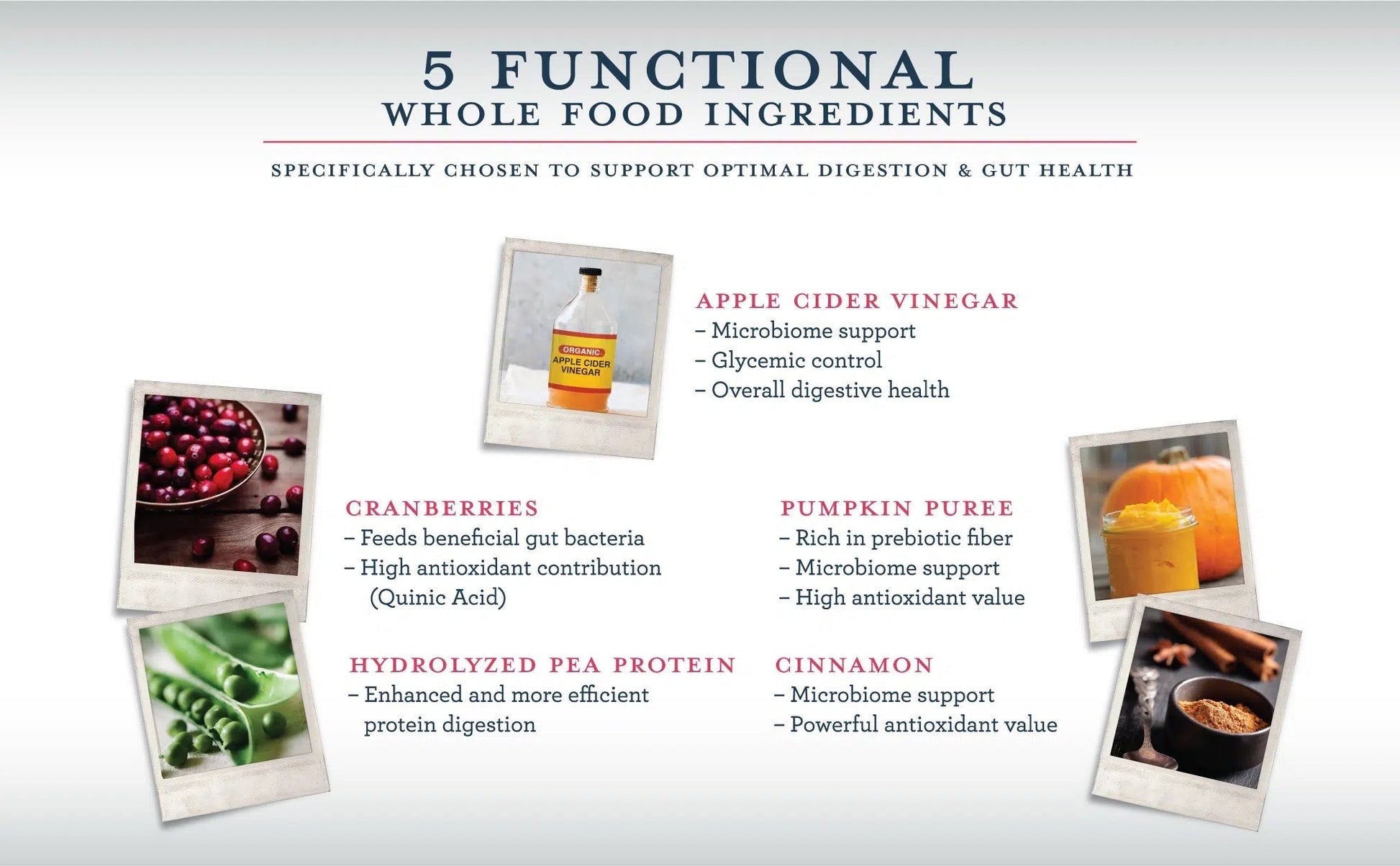Berry Medley functional ingredients overview: cranberries, pumpkin, hydrolized pea