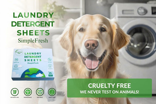 Laundry detergent sheets box beside a golden retriever; SimpleFresh, 25 sheets