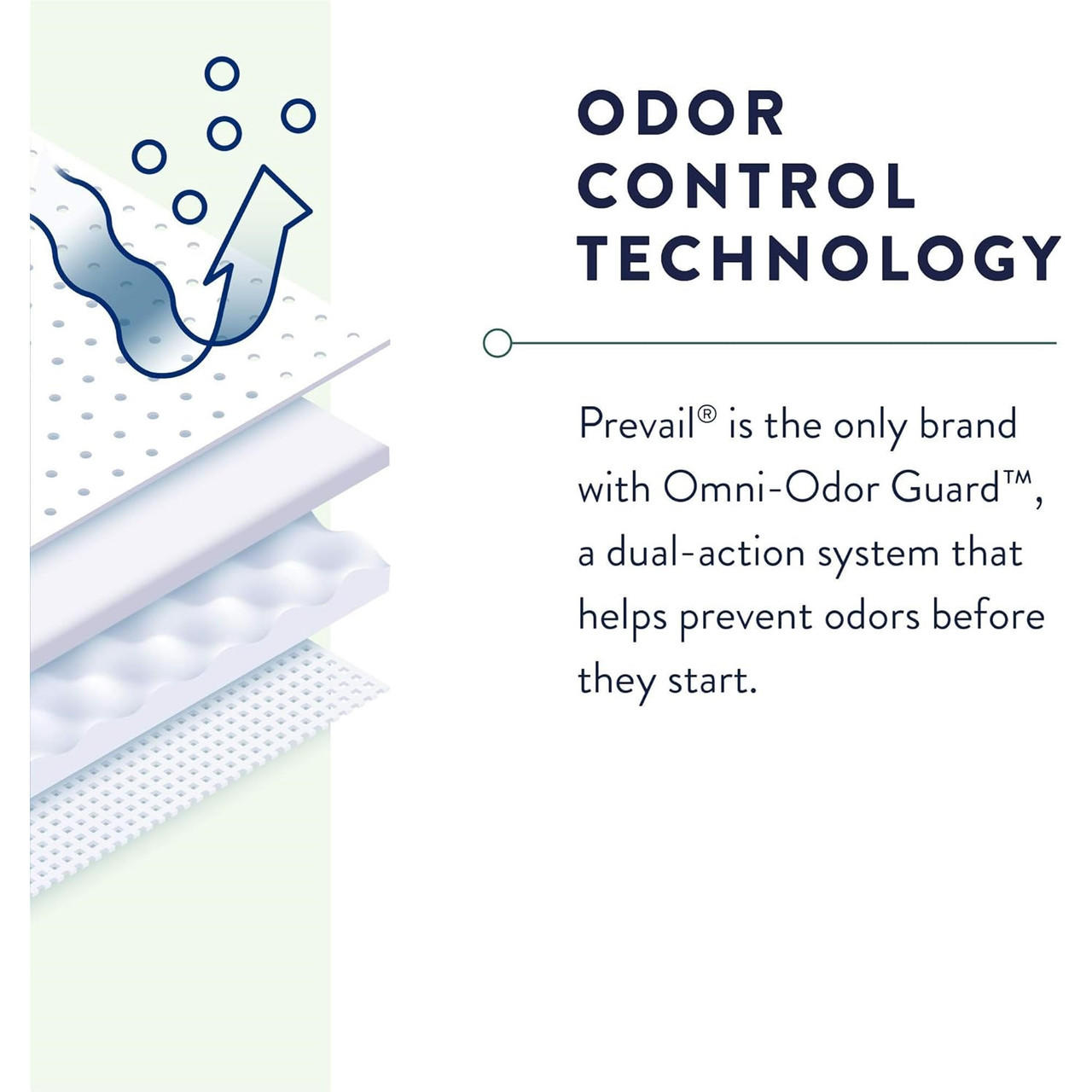 Odor control absorbent briefs underwear with internal protective pad layers