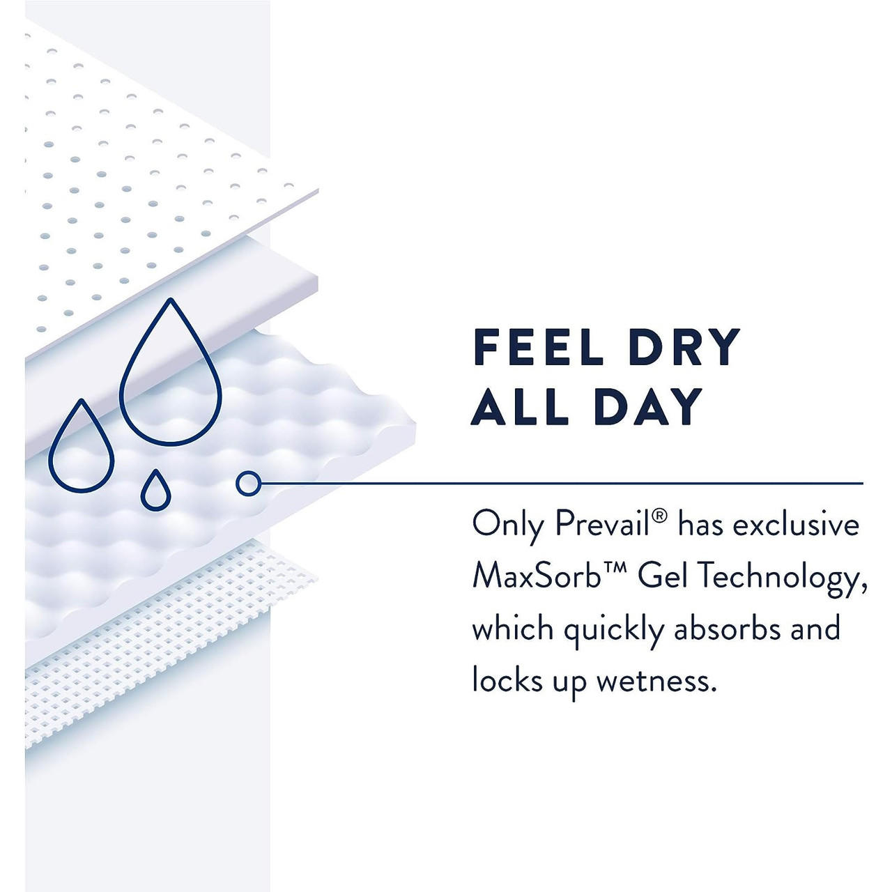 Pant liners labeled “Feel Dry All Day” with quick-absorbing gel technology