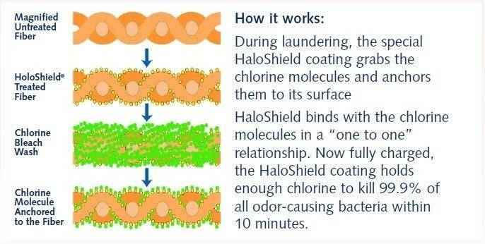 Magnified diagram of HaloShield treating fiber to anchor chlorine and reduce odor