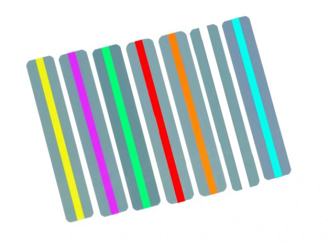 Reading Guide Sentence Strip
