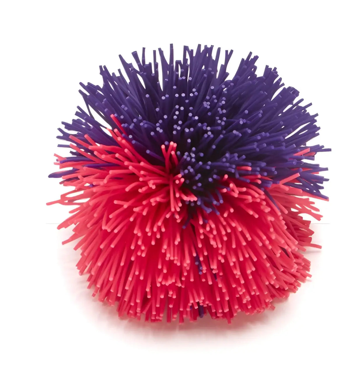 Standard Koosh Ball, Medium, 3 inch Trainers Warehouse