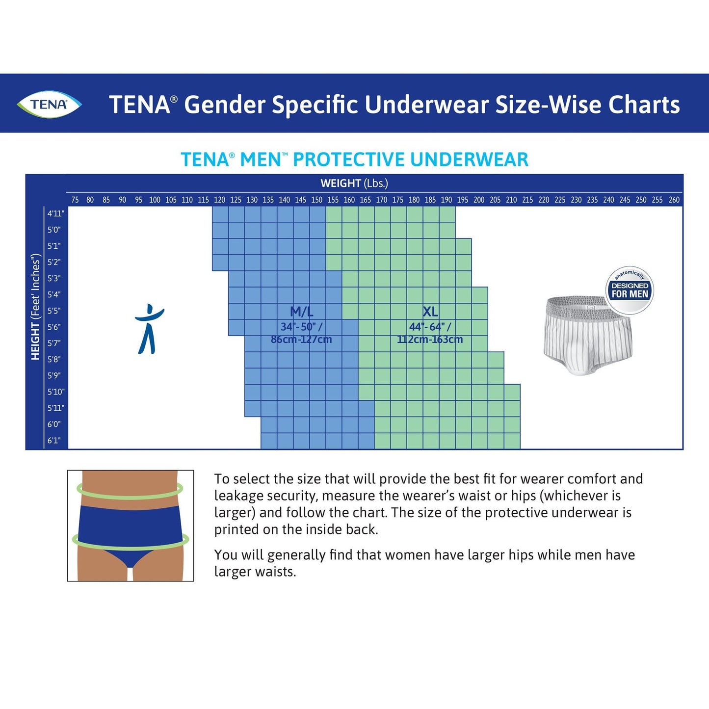 TENA men protective underwear size chart with brief illustration and sizing guidance