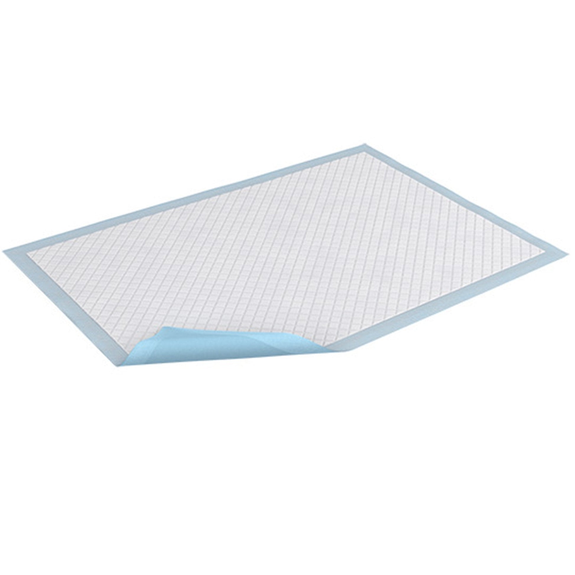 Light absorbency underpad, large square with blue edges and white absorbent top
